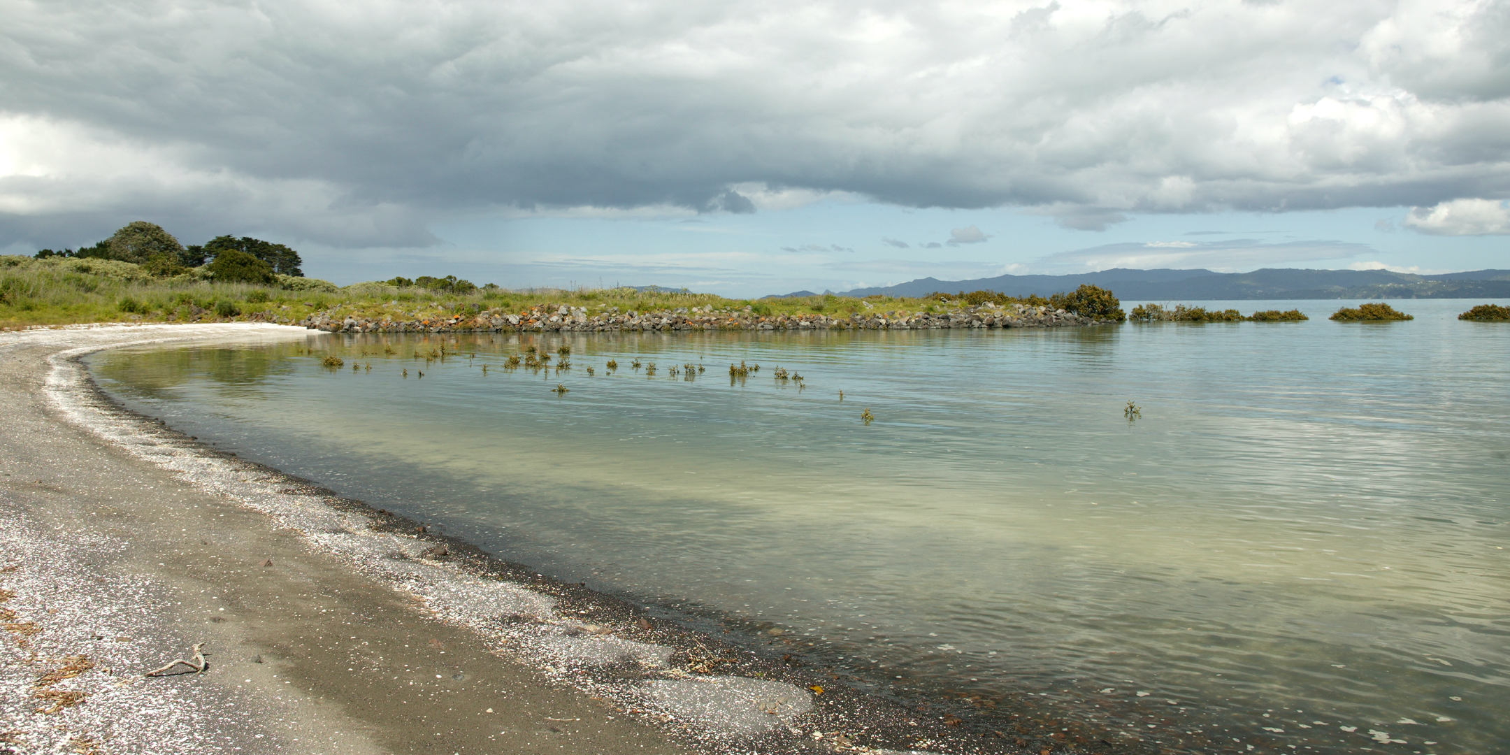 Project Manukau Coastal and Foreshore Restoration