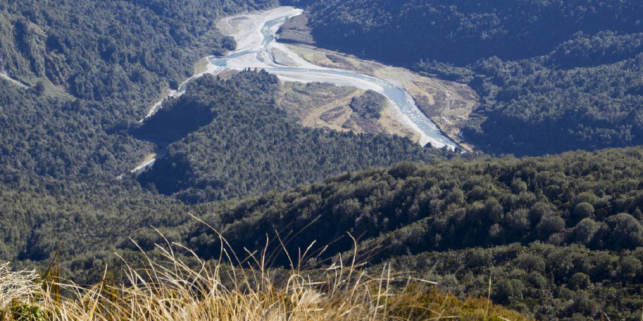 Waitaha Hydro Scheme: climate change and biodiversity assessment